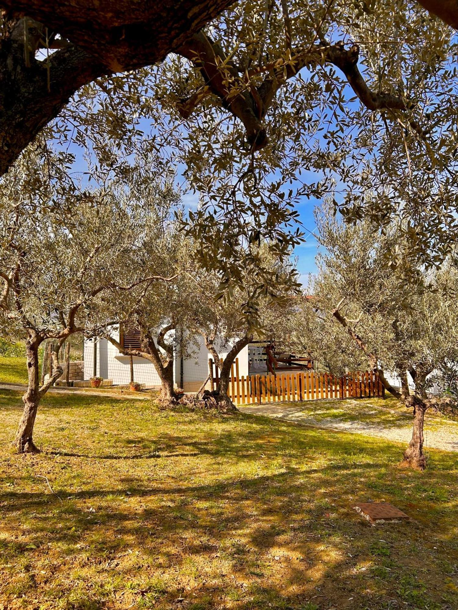 Villa Oasi Macerina Alanno Exterior foto
