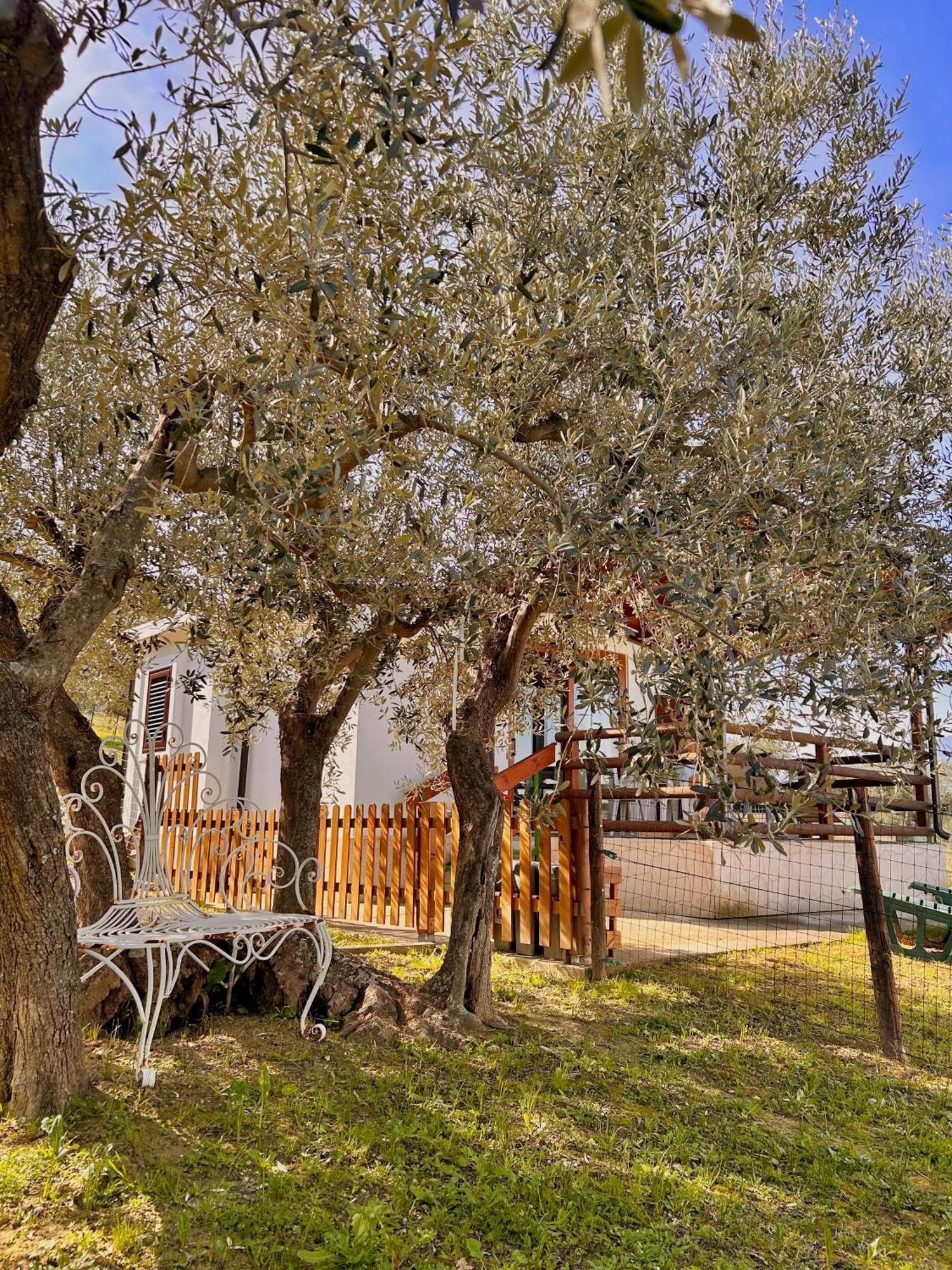 Villa Oasi Macerina Alanno Exterior foto