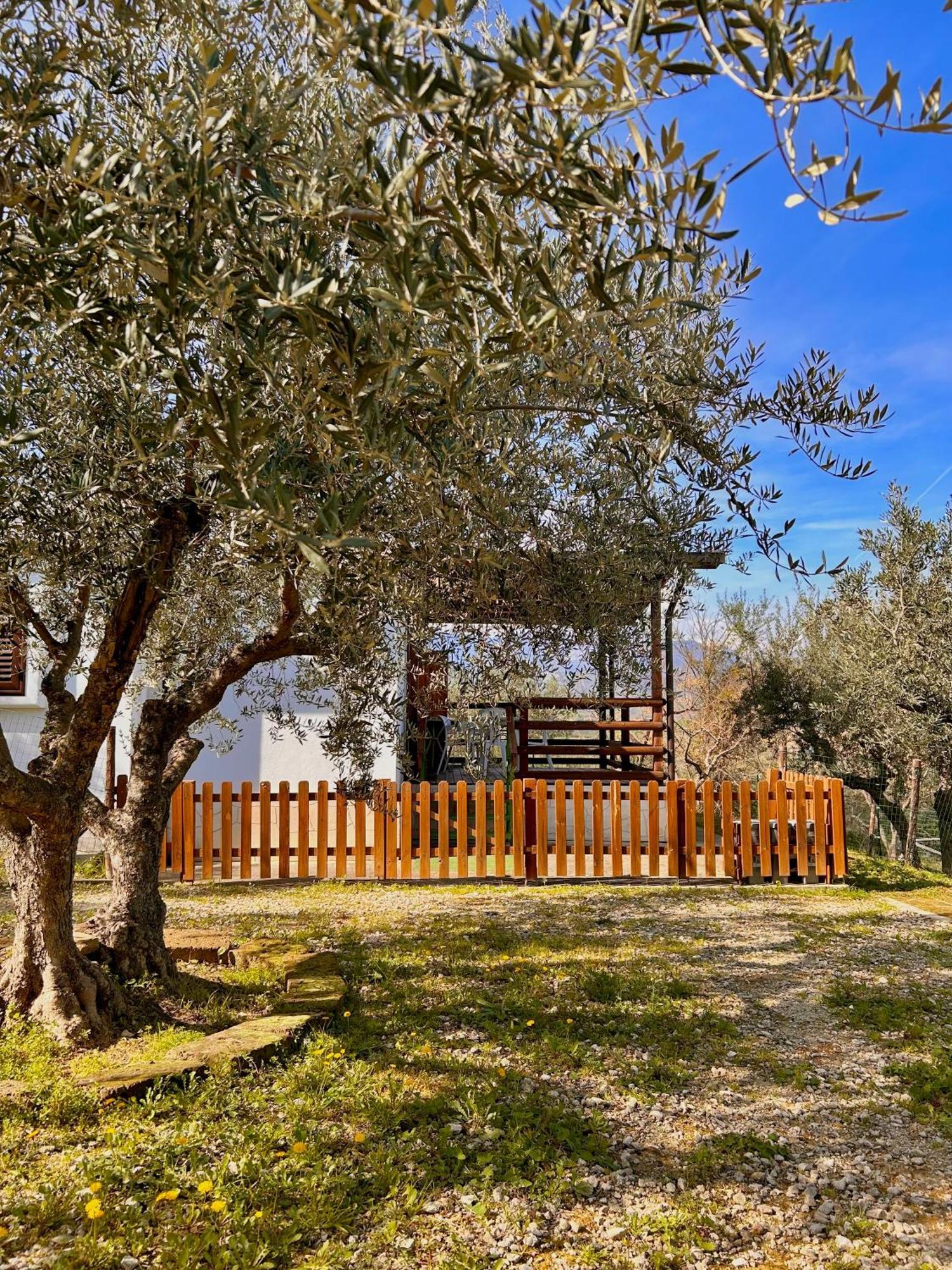 Villa Oasi Macerina Alanno Exterior foto