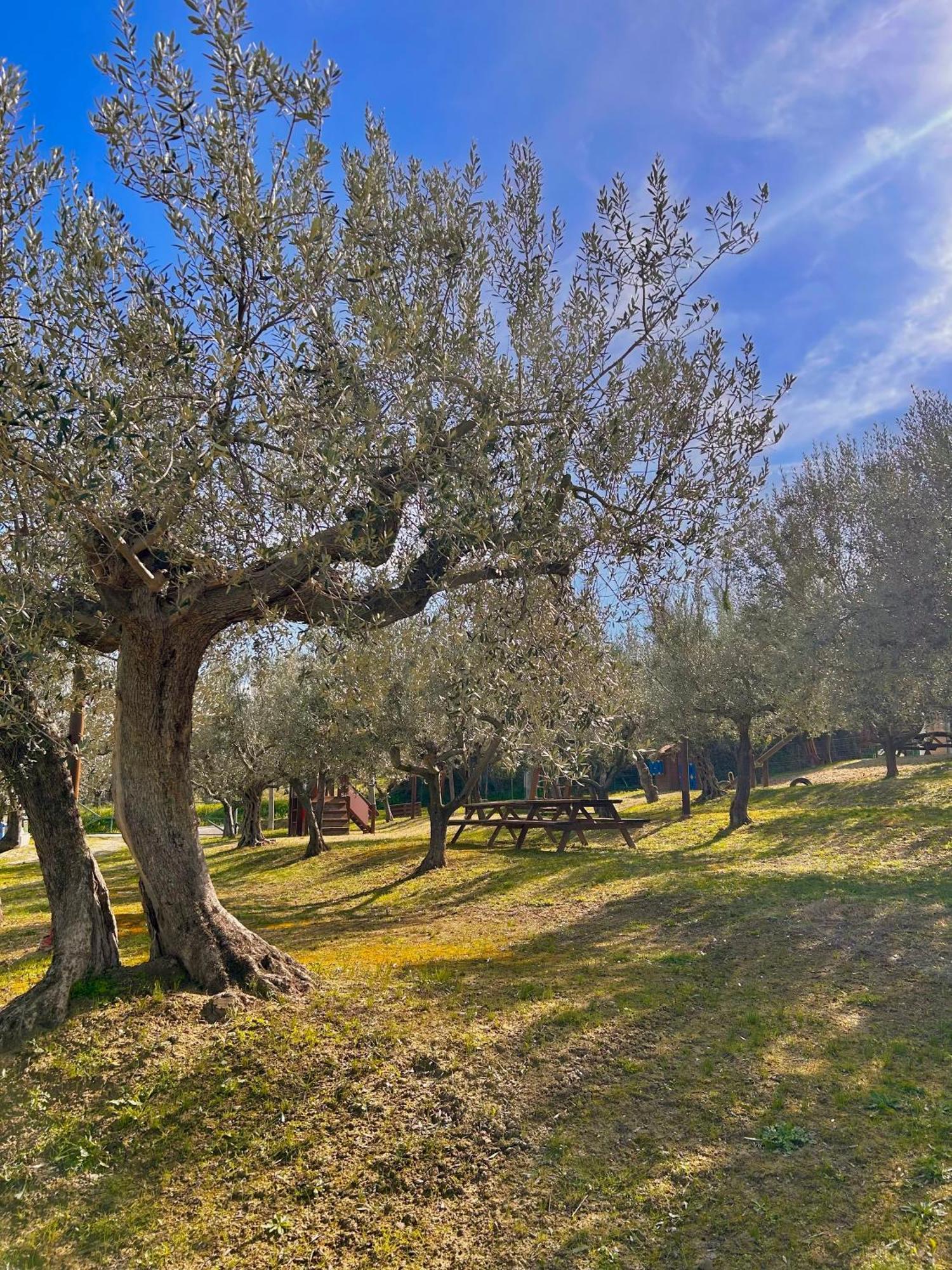 Villa Oasi Macerina Alanno Exterior foto