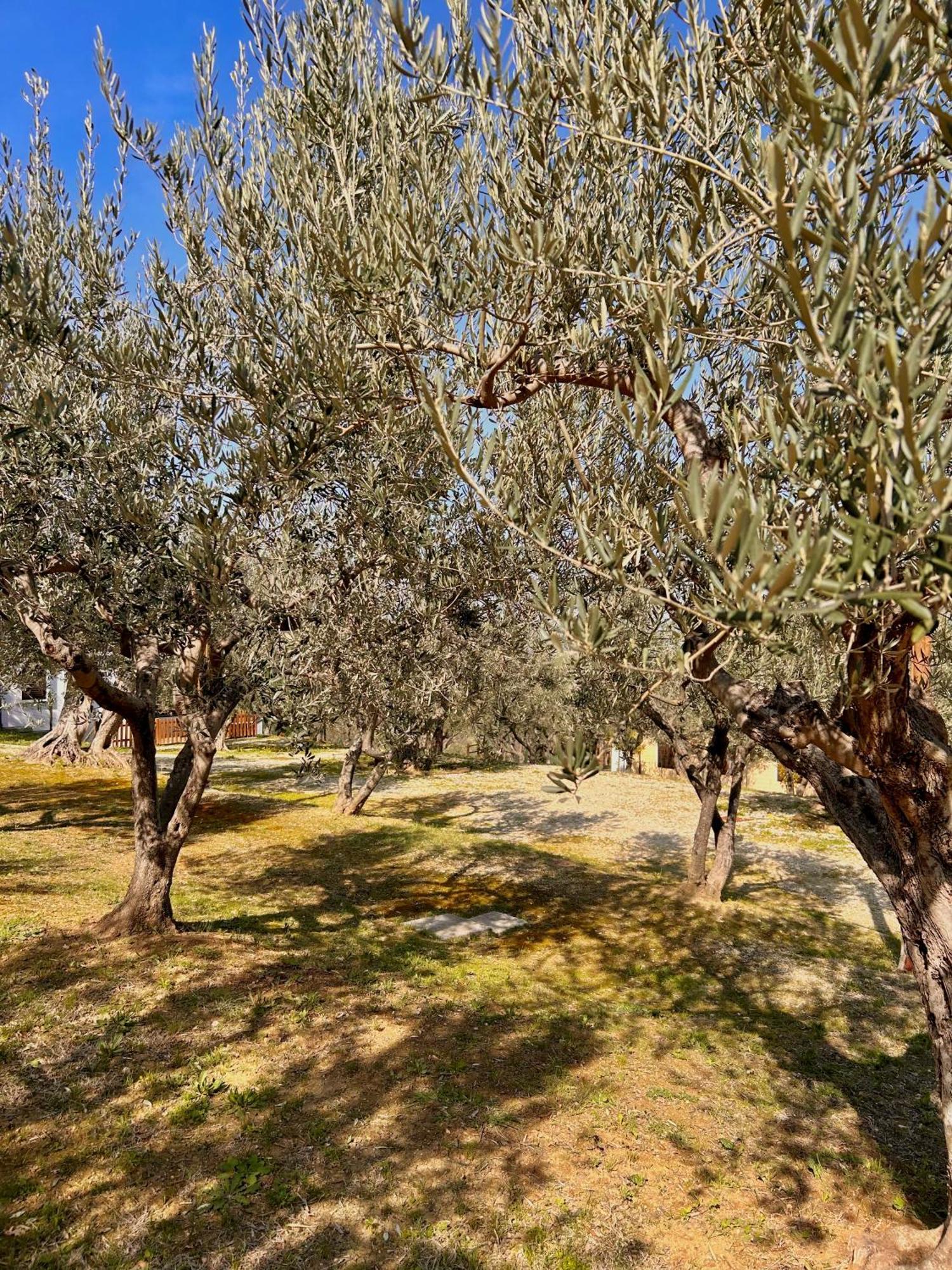 Villa Oasi Macerina Alanno Exterior foto