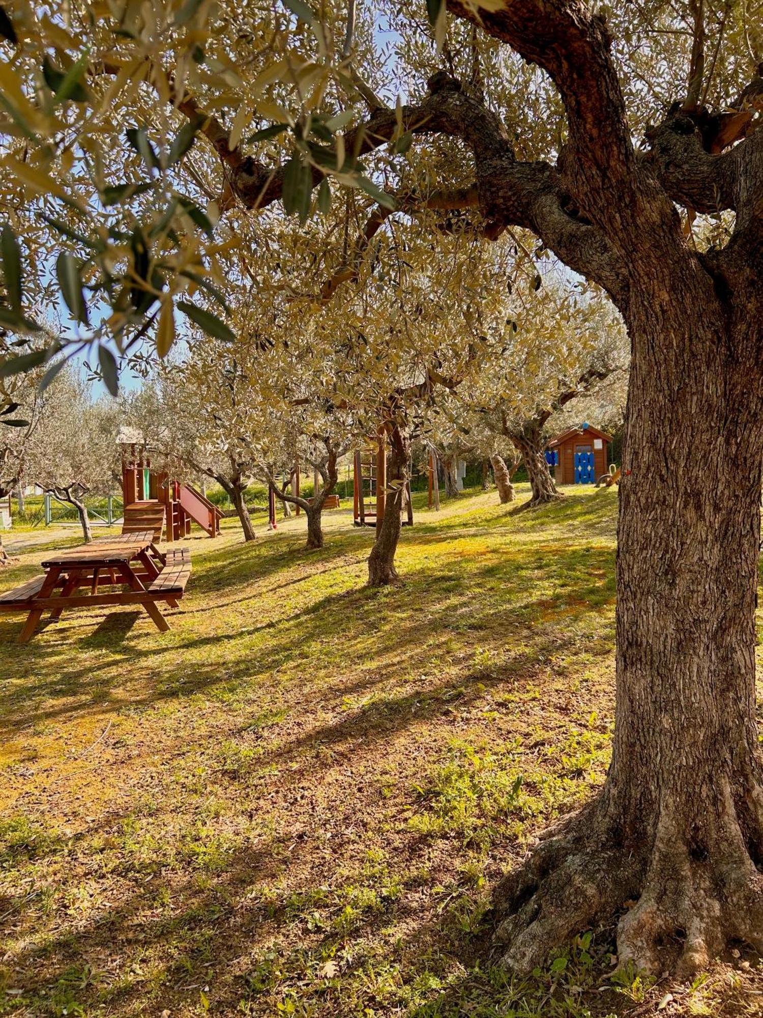 Villa Oasi Macerina Alanno Exterior foto