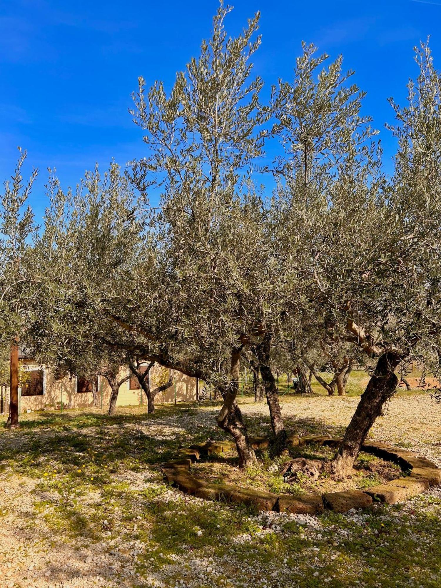 Villa Oasi Macerina Alanno Exterior foto