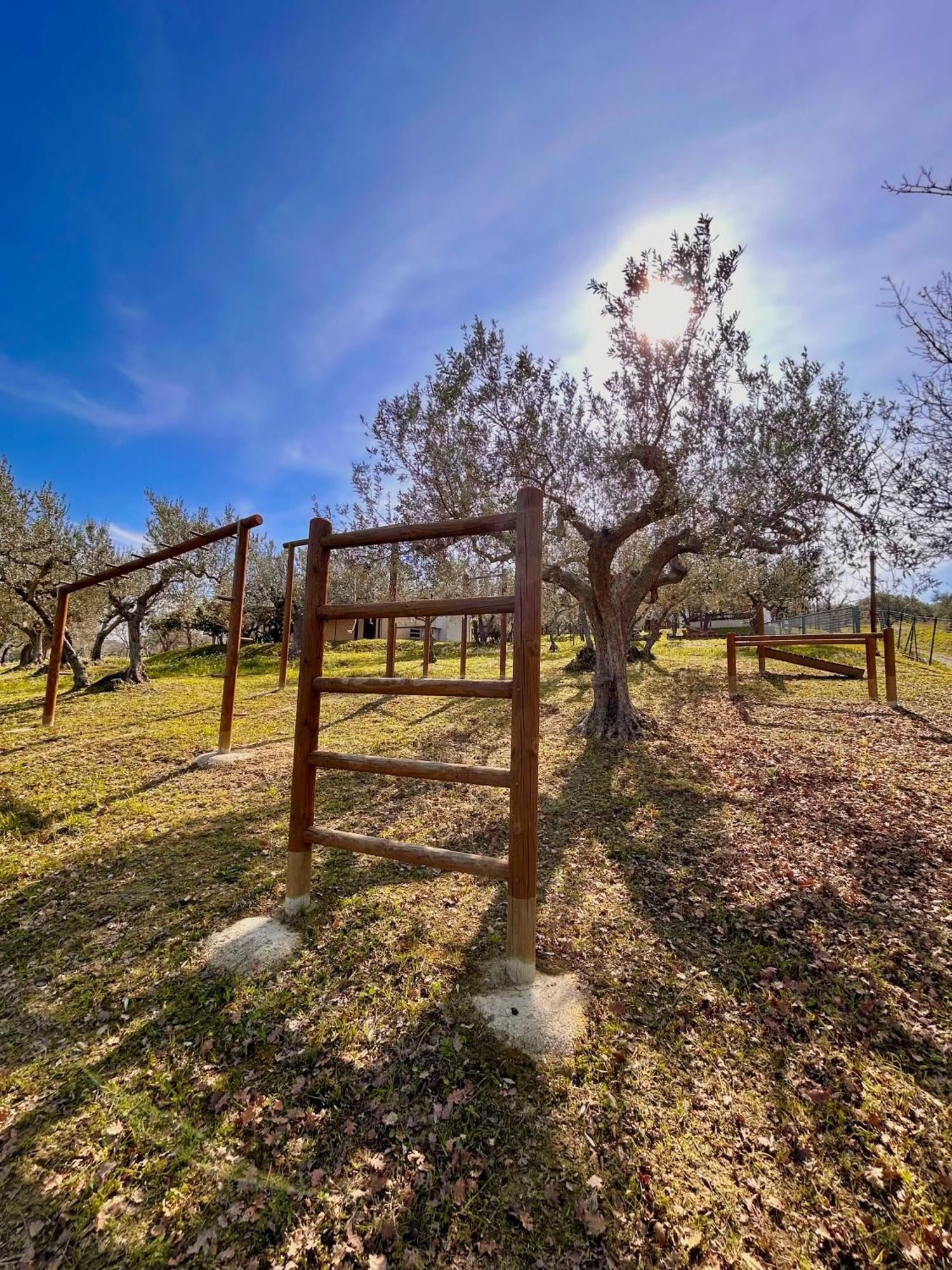Villa Oasi Macerina Alanno Exterior foto
