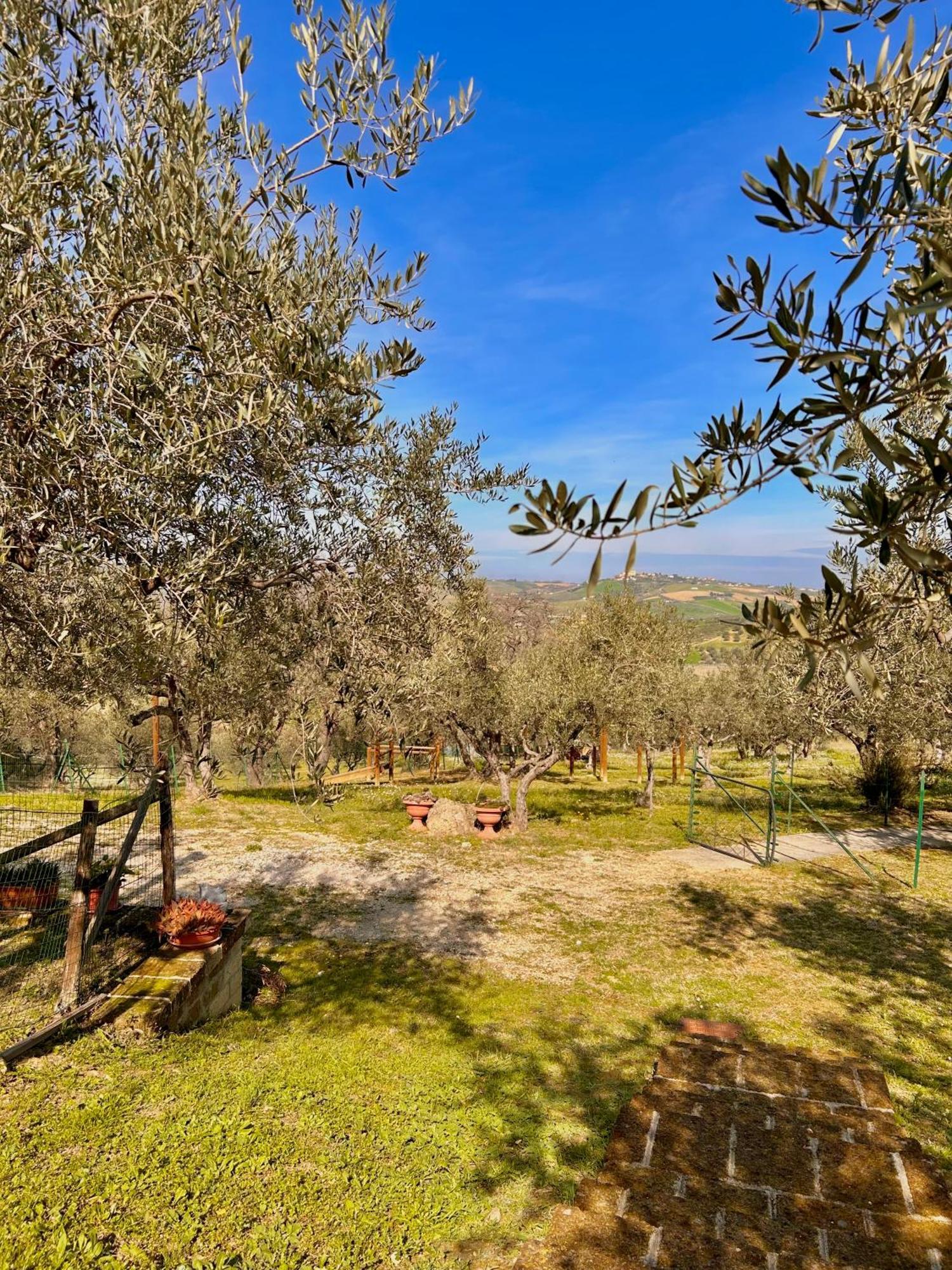 Villa Oasi Macerina Alanno Exterior foto