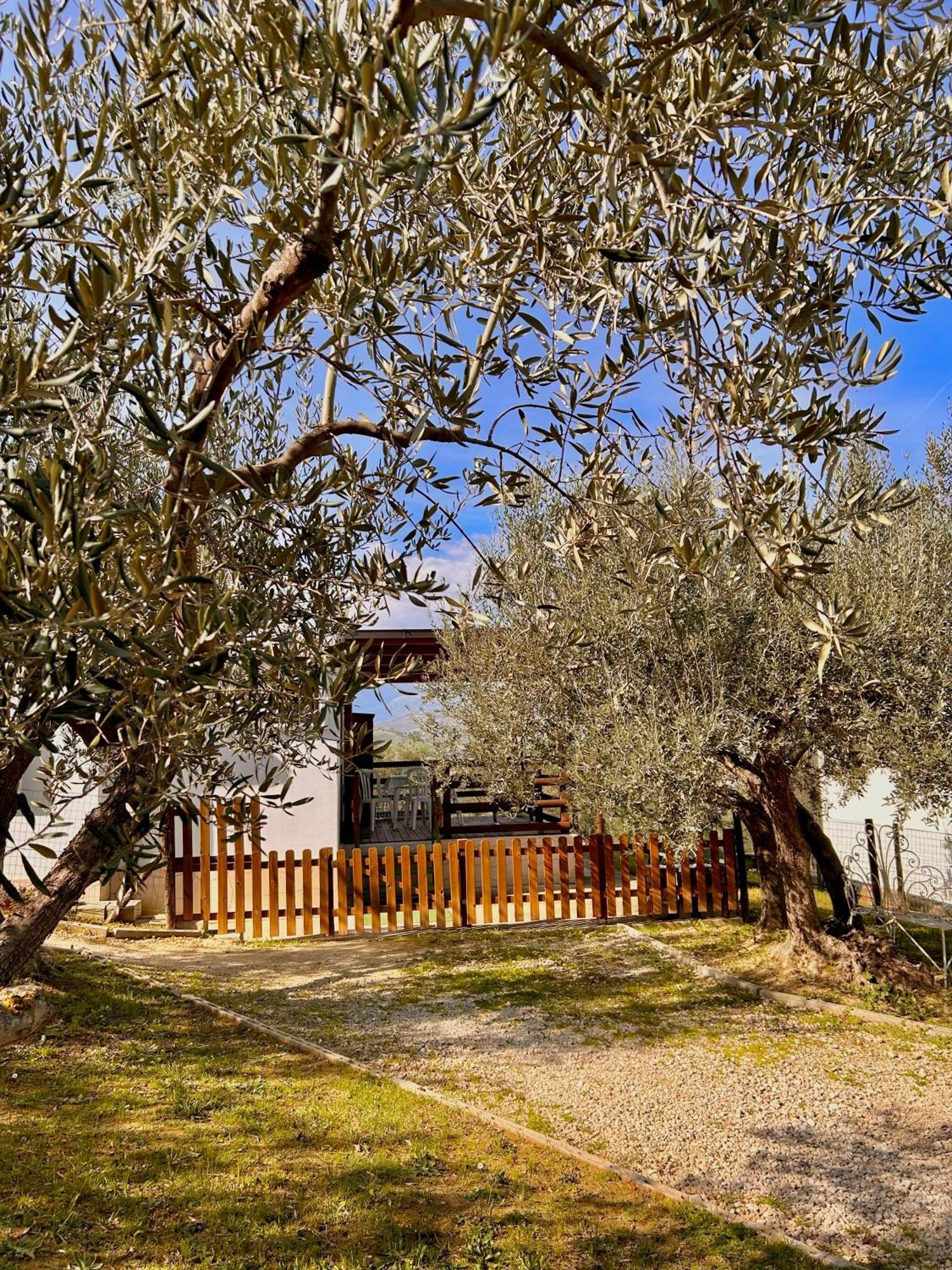 Villa Oasi Macerina Alanno Exterior foto