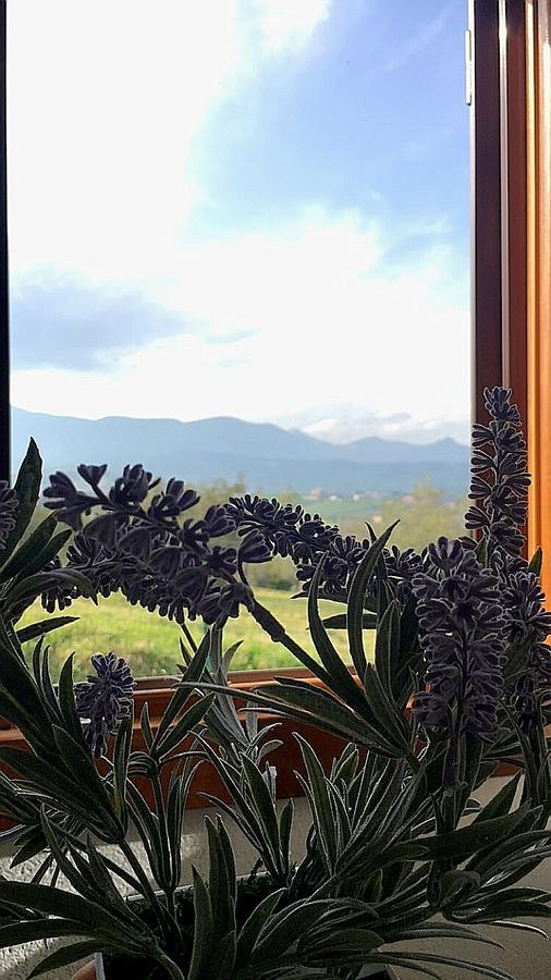 Villa Oasi Macerina Alanno Exterior foto
